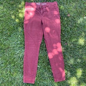 maroon jeans